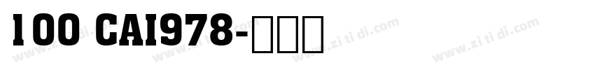 100 CAI978字体转换
